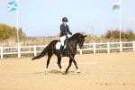 SBM_009529
