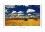 BURRA ICON-6904-Frame
