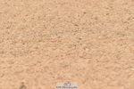 230720A-105928-02291