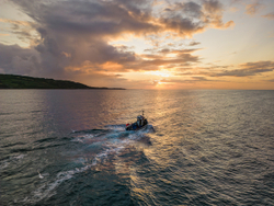 Coverack catch