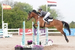 Cls 26 Young Horse 5yr old portfolio
