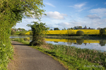A Walk Along the Broad Water
