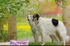 Penny and Athos in May21