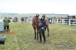 PtPres 160225141