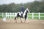 SBM_003363
