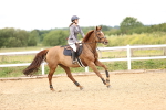 SBM_006971