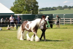 SBM_08839