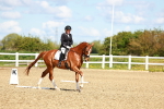 SBM_000341
