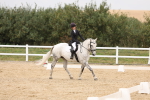 SBM_00786