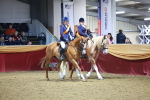 SBM_15077