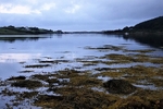 DSC07869