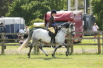SBM_07650