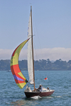 190825 COLUMBINE GBR615 1Y3A2083
