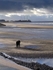 Blackpool 02