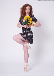 Performance portfolio