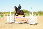 SBM_000698