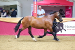 SBM_22623