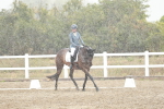 SBM_003893