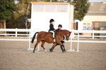 SBM_09201