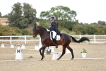 SBM_007331
