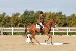 SBM_003359