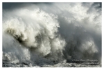 Storm Waves