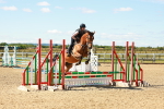 SBM_005101
