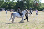 WJ6_7819