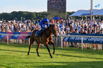 240726-Race 5-Diamond Rain-5495