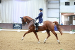 SBM_006036
