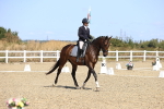 SBM_013185