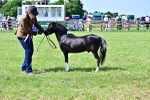 SBM_03681