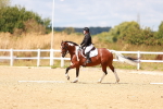 SBM_011866