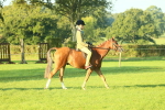 SBM_56771