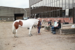 SBM_004057
