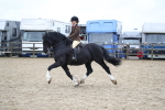 SBM_006381