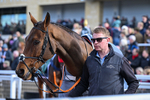 251025-Race 2-Sporting Glance-7388