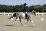 SBM_020912