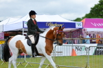SBM_02465
