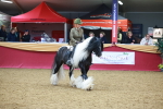 SBM_06261