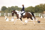 SBM_004607