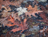 DECEMBER, BACKUS WOODS  #7