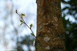 Sandgate Park - 02