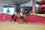 SBM_00751