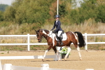 SBM_000379