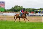 170826-Race 5-Our Absent Friends-9758