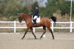 SBM_020877