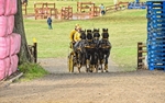 SBG_6371