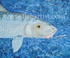 A Bonefish for Bonefishermen.