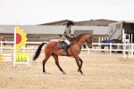 SBM_008679